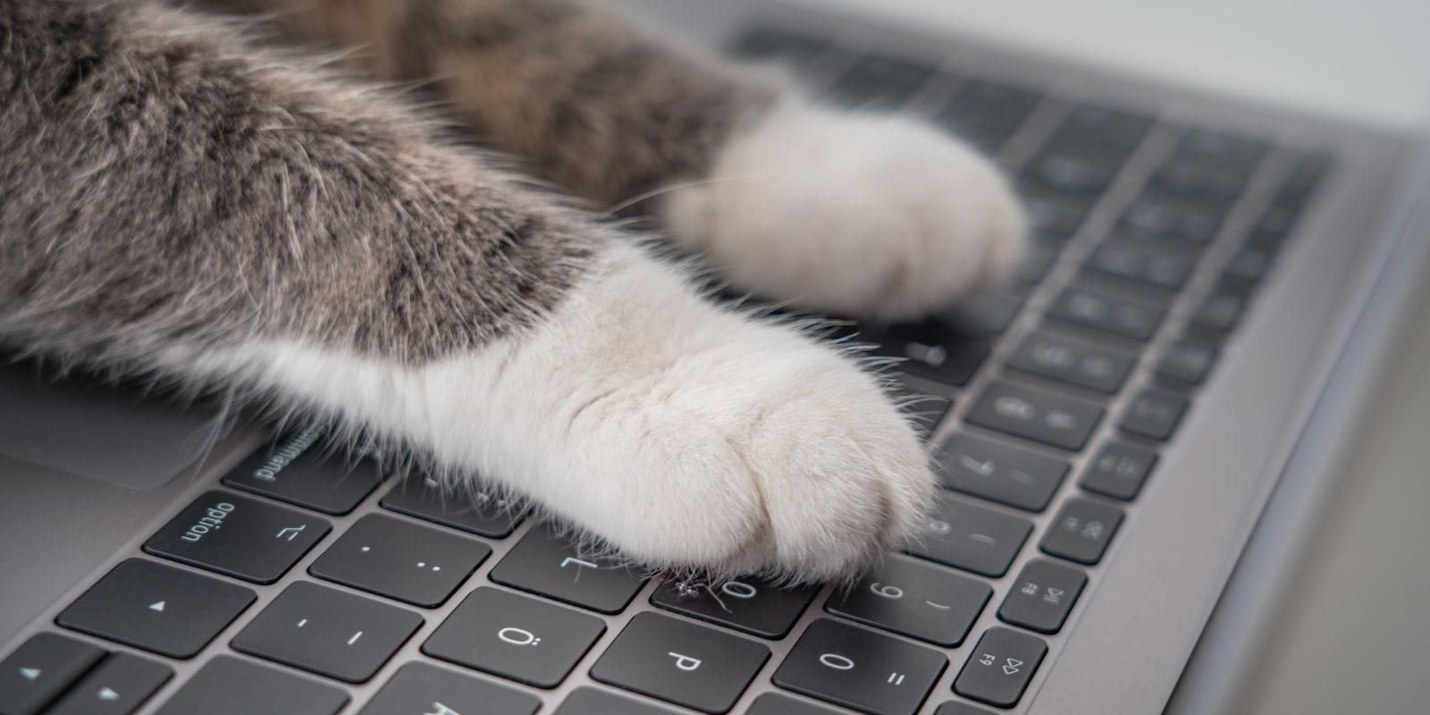 Building Your Ecommerce Website