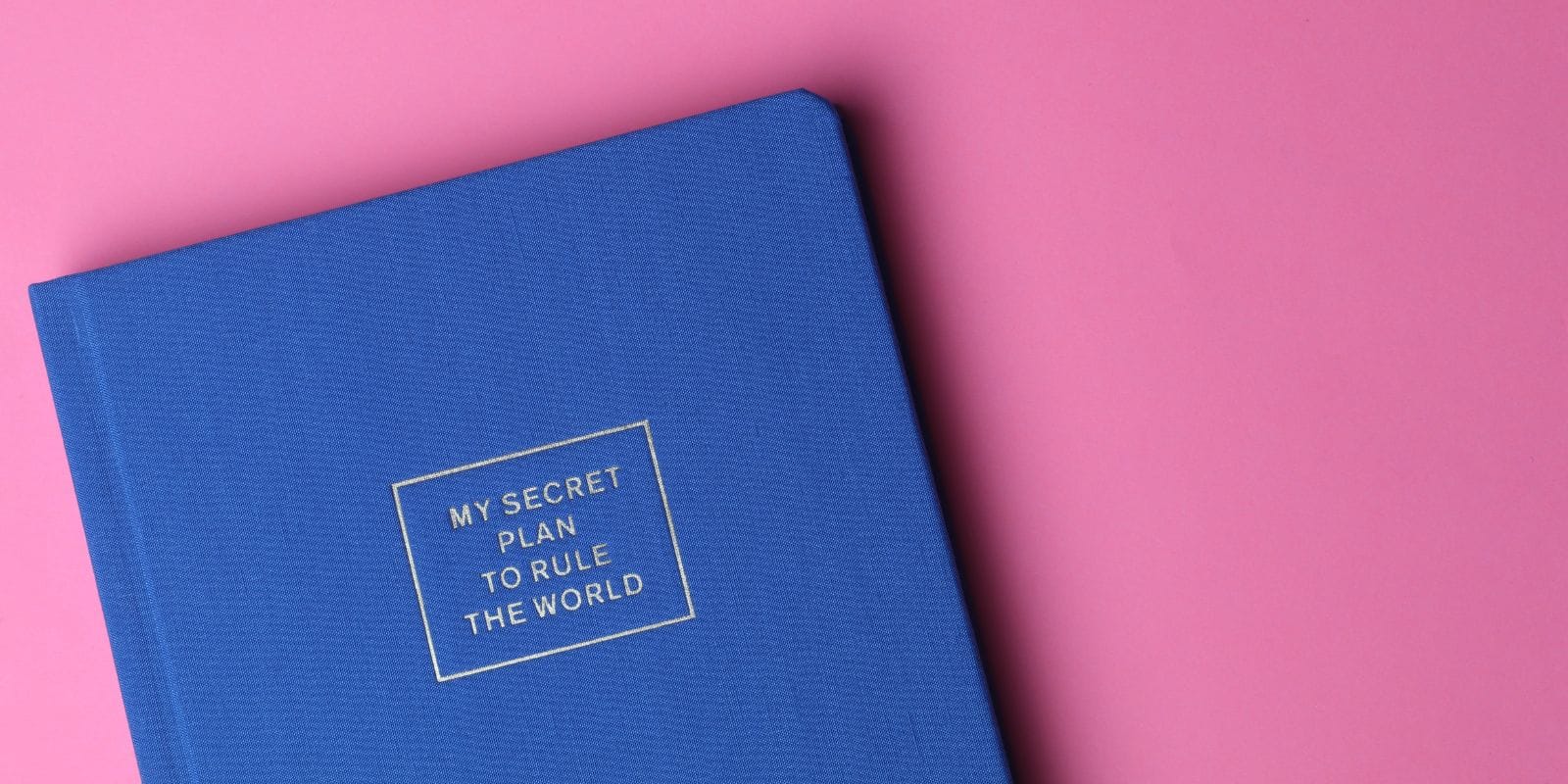 Develop a Business Plan