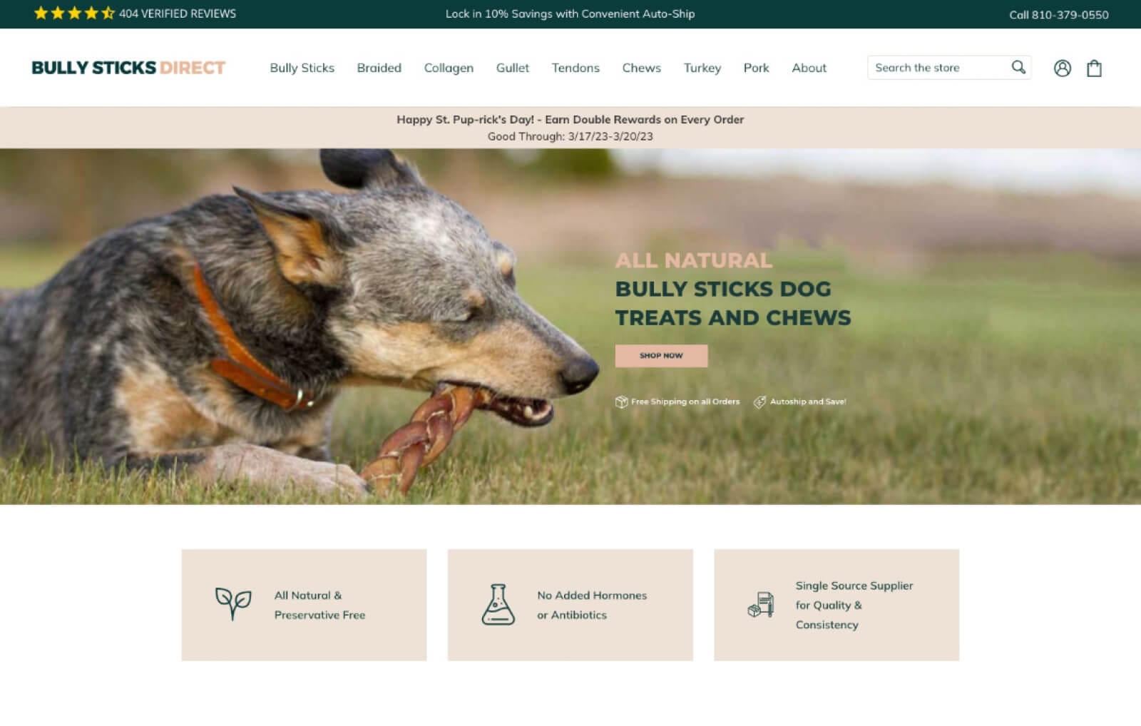 Bully Sticks Direct website screenshot