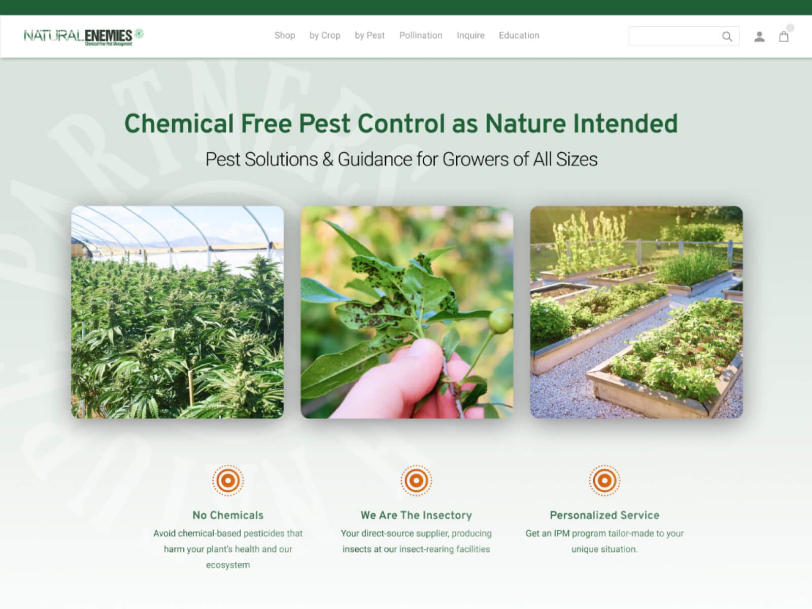 Natural Enemies website screenshot